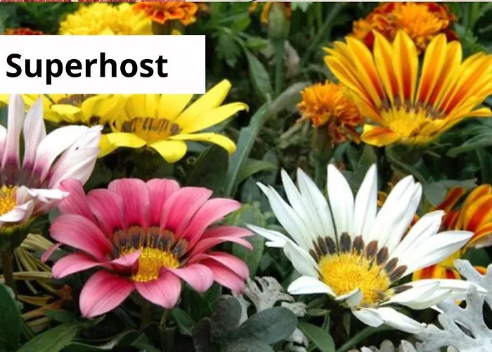 Apartamento La Maison De Famille Olbia