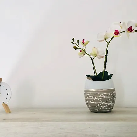 Appartamento La Maison De Famille