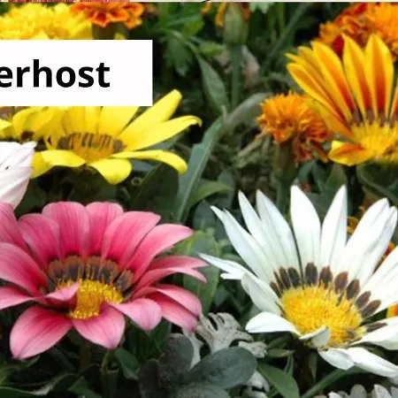 Апартаменты La Maison De Famille Ольбия